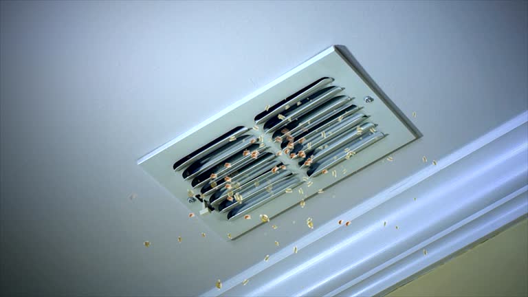 Best Home Air Vent Cleaning  in Gregory, SD