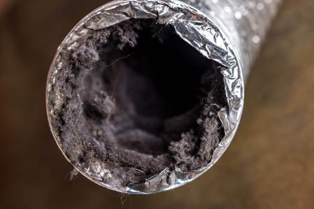 Best Air Duct Sanitizing Services  in Gregory, SD
