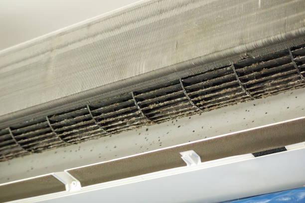 Best HVAC Air Duct Cleaning  in Gregory, SD